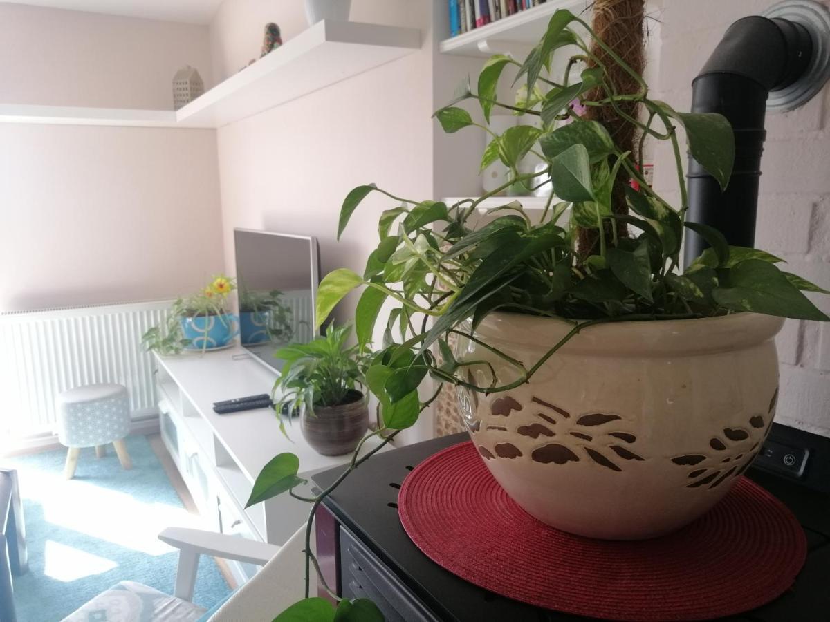 Kopriva Apartment *