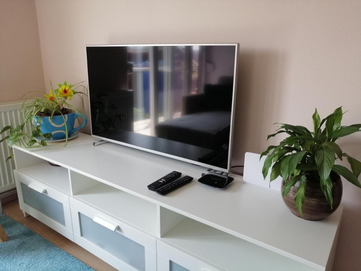 Apartment Kopriva