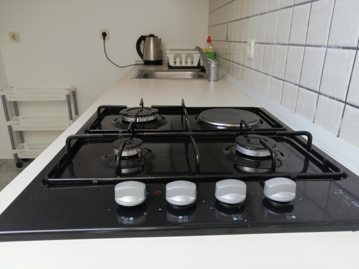 Apartment Kopriva *